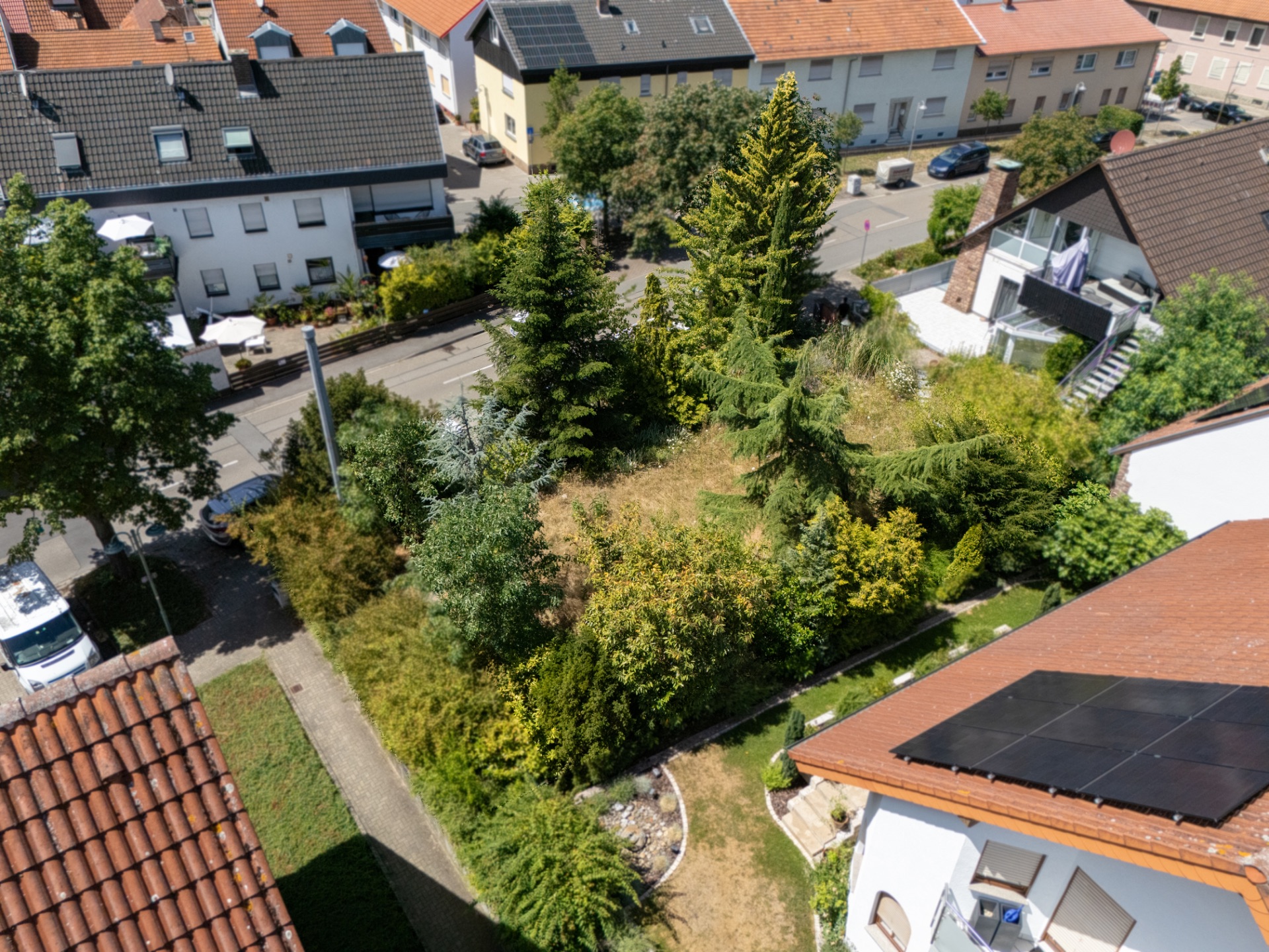 Luftaufnahme eines Gartens mit mehreren Bäumen in einem Wohngebiet.
