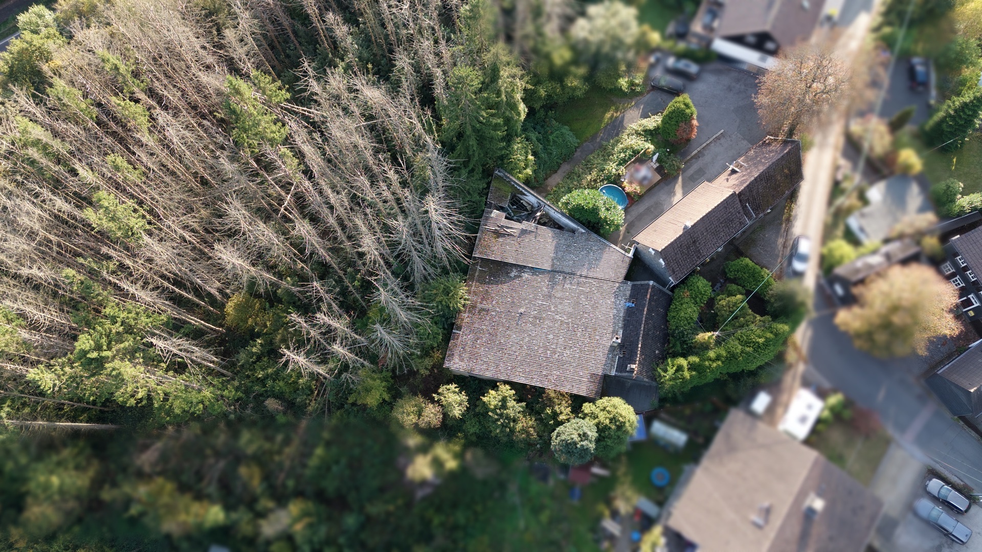 Luftaufnahme eines Hauses am Waldrand mit angrenzendem Garten und Nachbarhäusern.