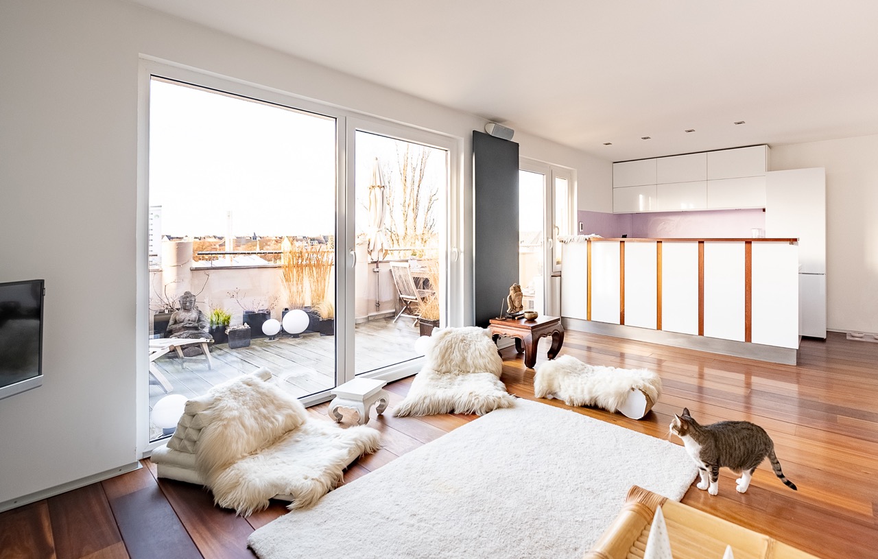 Helles Wohnzimmer mit Holzfußboden, Küche, großen Fenstern, Sitzpolstern und einer Katze.