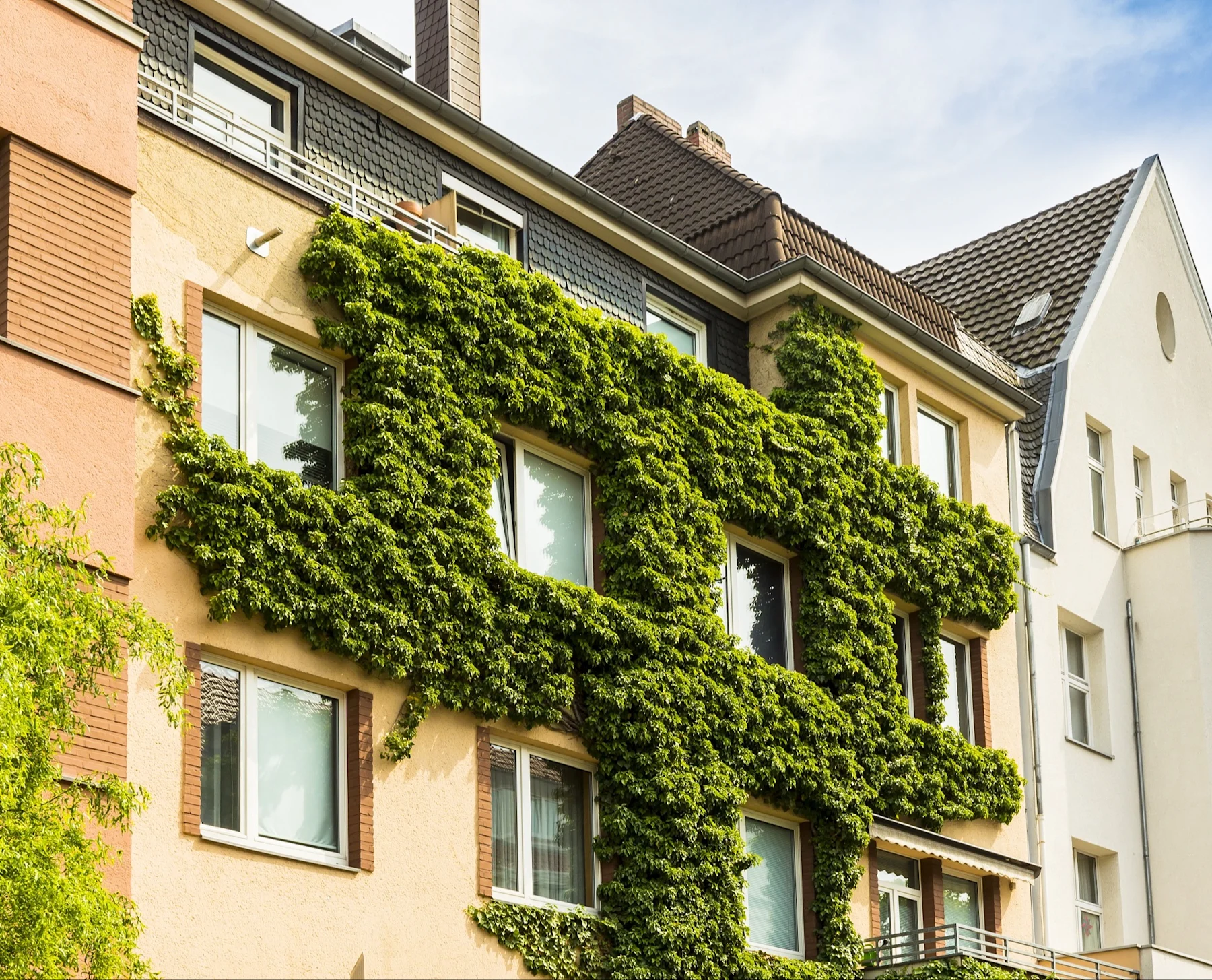 Mehrstöckiges Wohnhaus mit grüner Kletterpflanze an der Fassade und mehreren Fenstern.