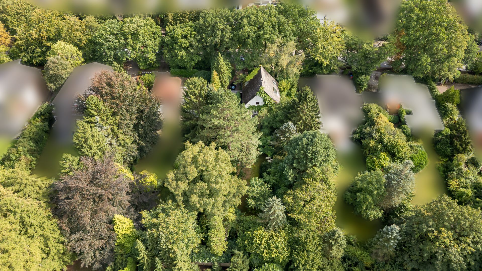 Luftaufnahme eines Hauses mit Garten, umgeben von vielen Bäumen und Grünflächen.