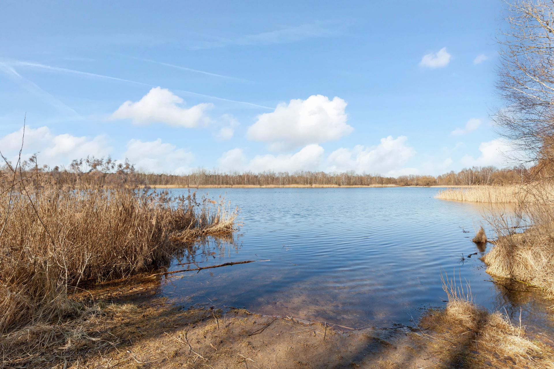 Blick auf einen See mit Schilf am Ufer unter blauem Himmel.