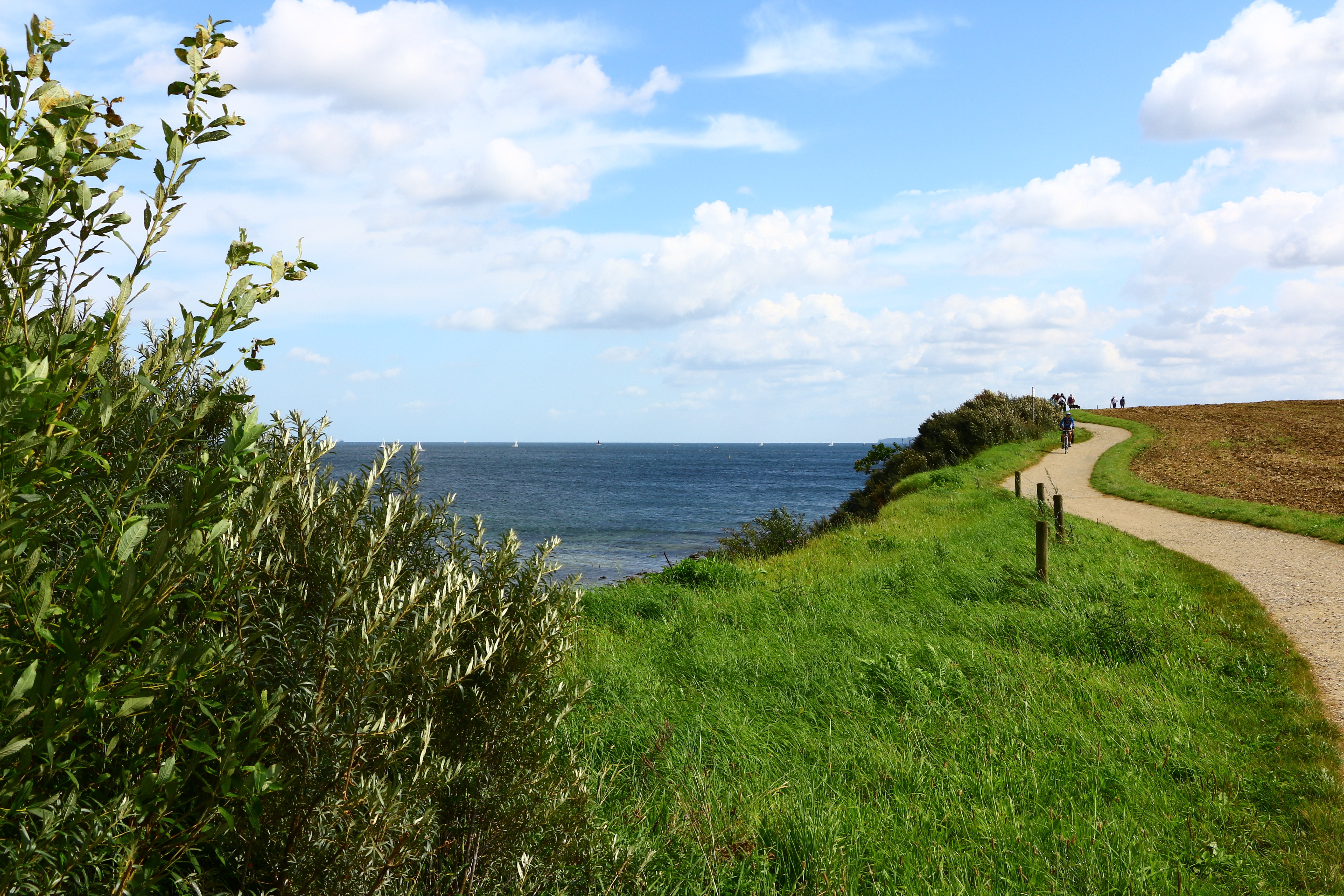 Ein Fußweg führt entlang einer grünen Wiese mit Blick auf das Meer und einen teils bewölkten Himmel.