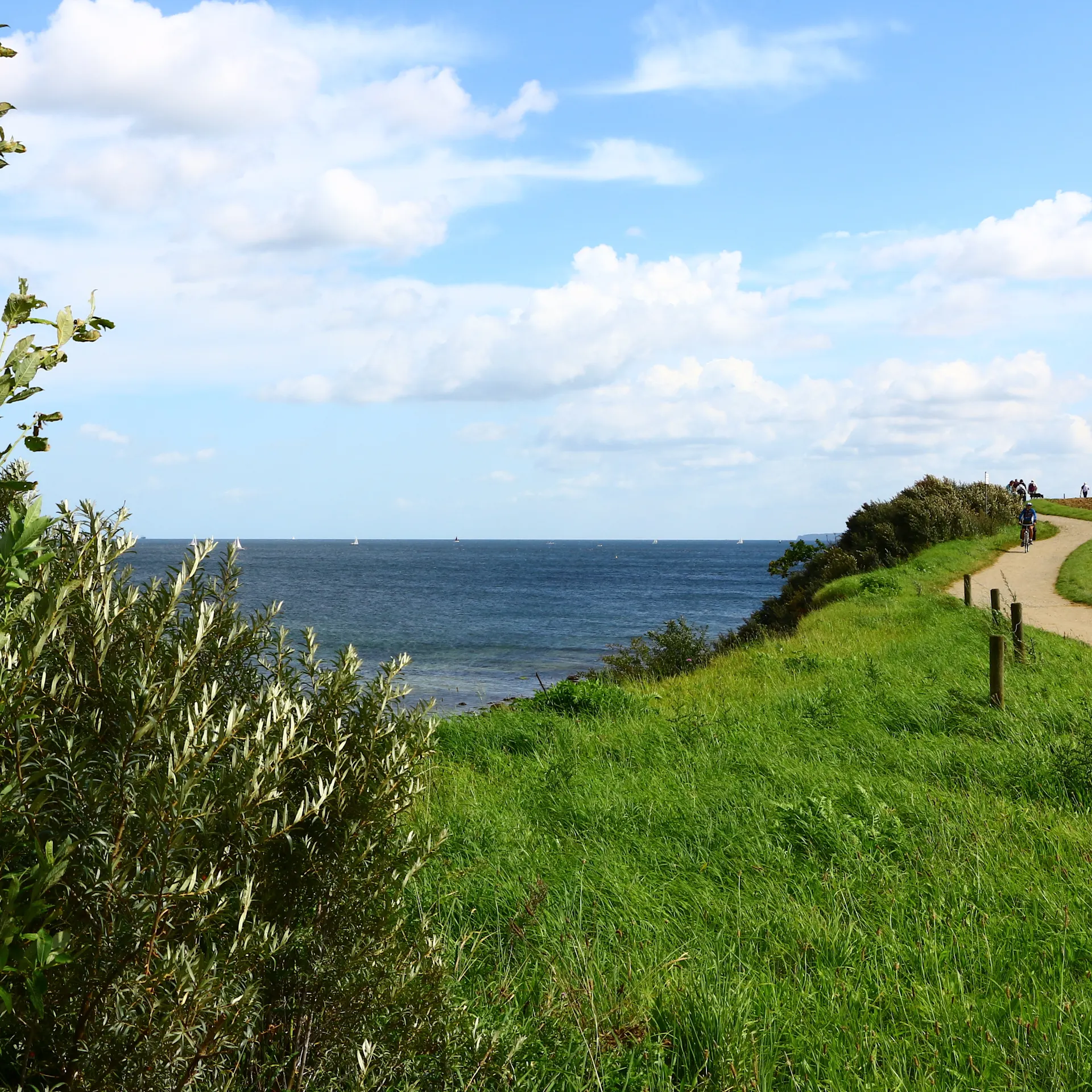 Ein Fußweg führt entlang einer grünen Wiese mit Blick auf das Meer und einen teils bewölkten Himmel.