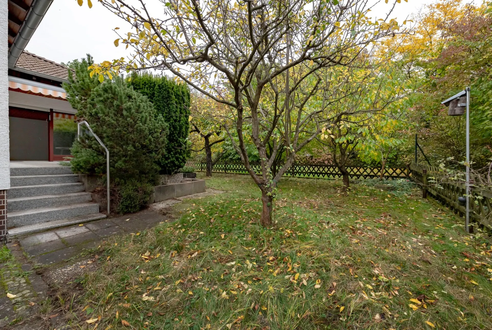 Garten mit Rasen, Bäumen, Sträuchern, Holzzaun und einer Steintreppe zum Hauseingang.