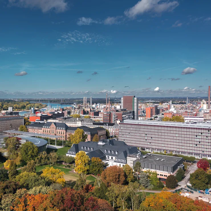 Stadtansicht mit Grünflächen, modernen und historischen Gebäuden unter blauem Himmel.