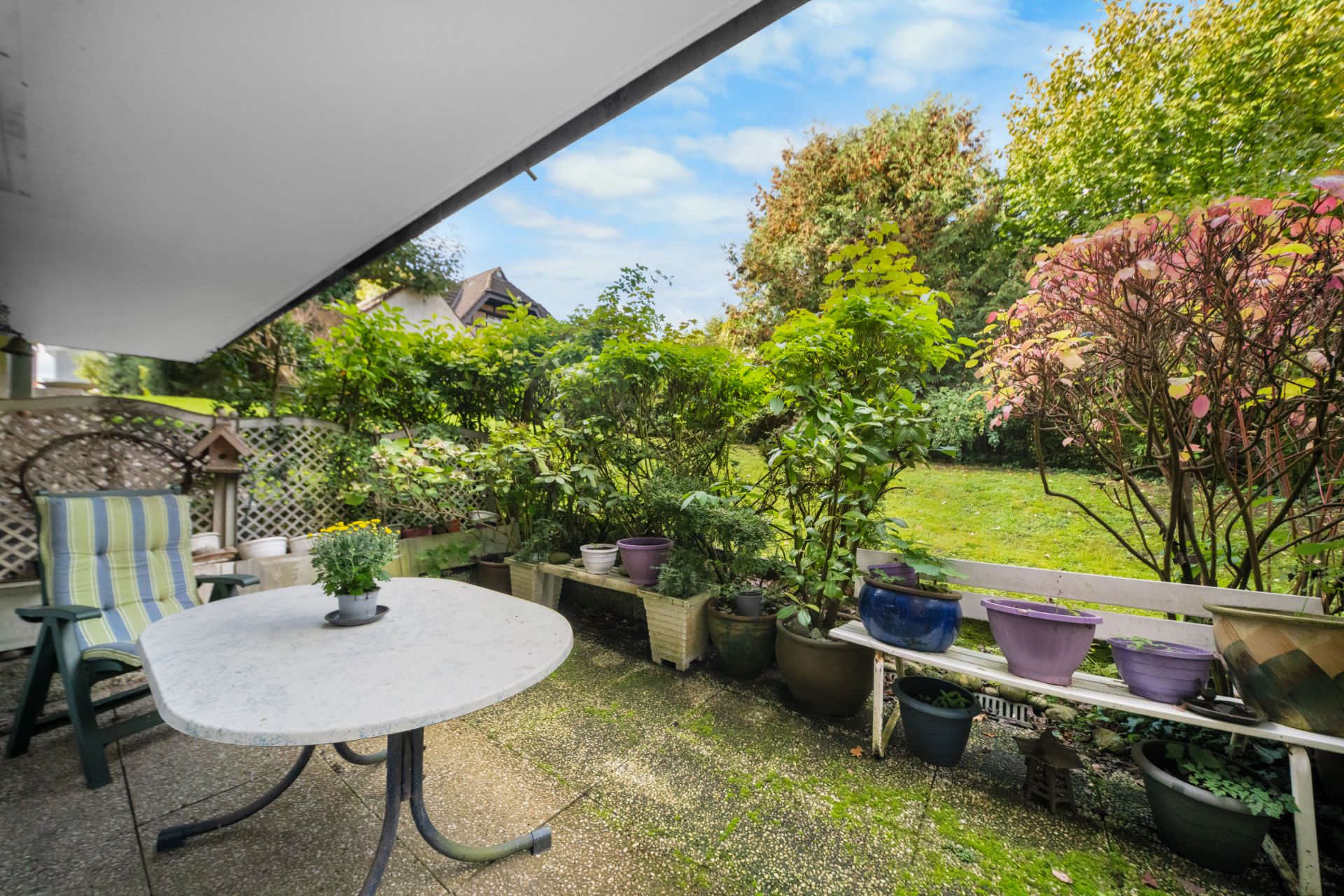 Terrasse mit Tisch, Stuhl und vielen Pflanzen, Blick auf gepflegten Garten.