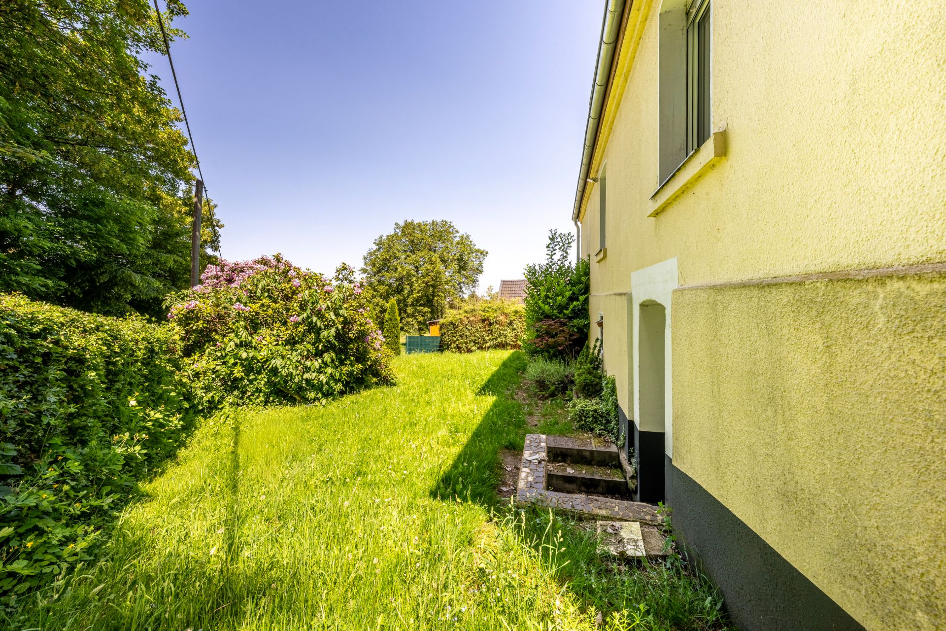Rasenfläche mit Büschen neben einem gelben Wohnhaus an einem sonnigen Tag.