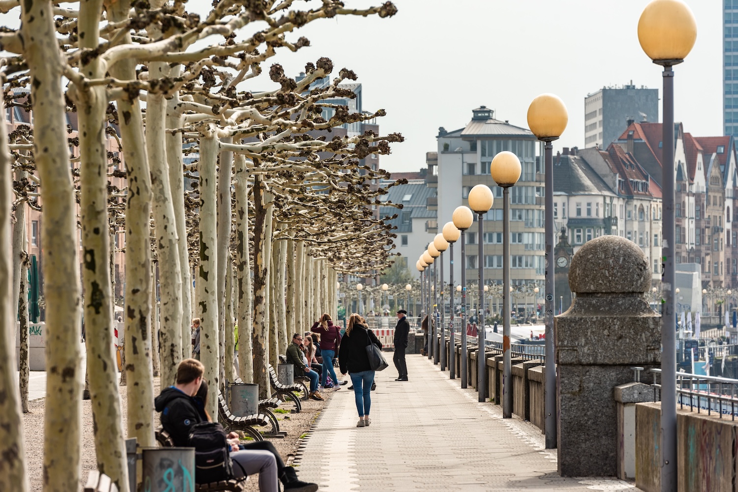 Promenade mit Bäumen, Bänken und Straßenlampen, Menschen spazieren und sitzen.