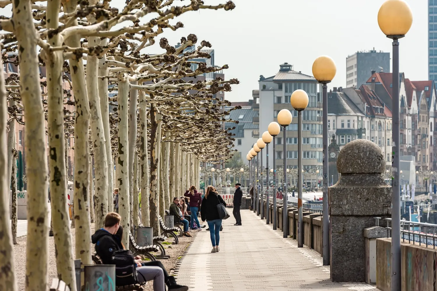 Promenade mit Bäumen, Bänken und Straßenlampen, Menschen spazieren und sitzen.