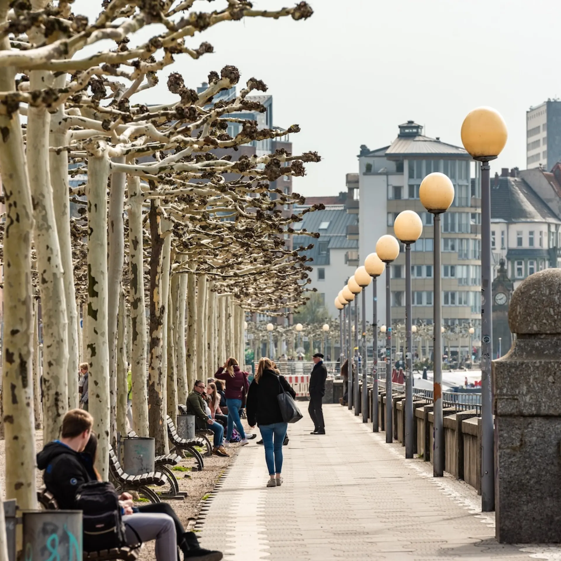 Promenade mit Bäumen, Bänken und Straßenlampen, Menschen spazieren und sitzen.
