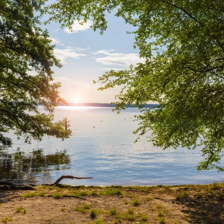 Blick durchs Grün auf einen ruhigen See bei Sonnenuntergang.