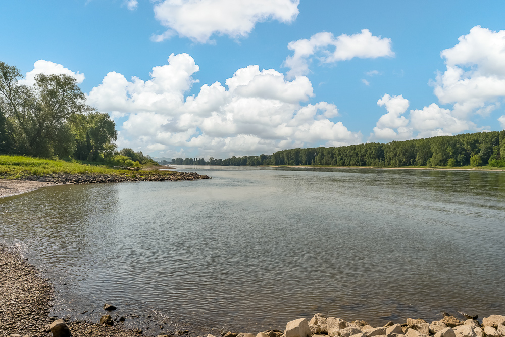 Breiter Fluss mit Kiesufer und Bäumen am Rand unter blauem Himmel mit Wolken.