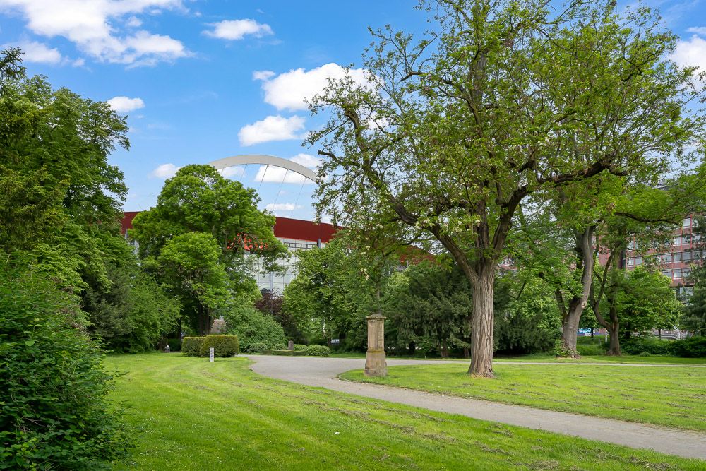Grüne Parkanlage mit Bäumen, Wiese und einem geschwungenen Weg im Vordergrund.