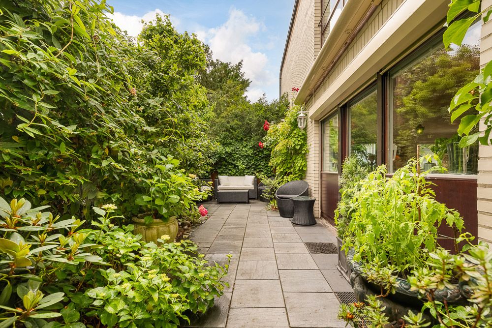 Gepflasterte Terrasse mit Gartenmöbeln, vielen grünen Pflanzen und Fenstern am Haus.