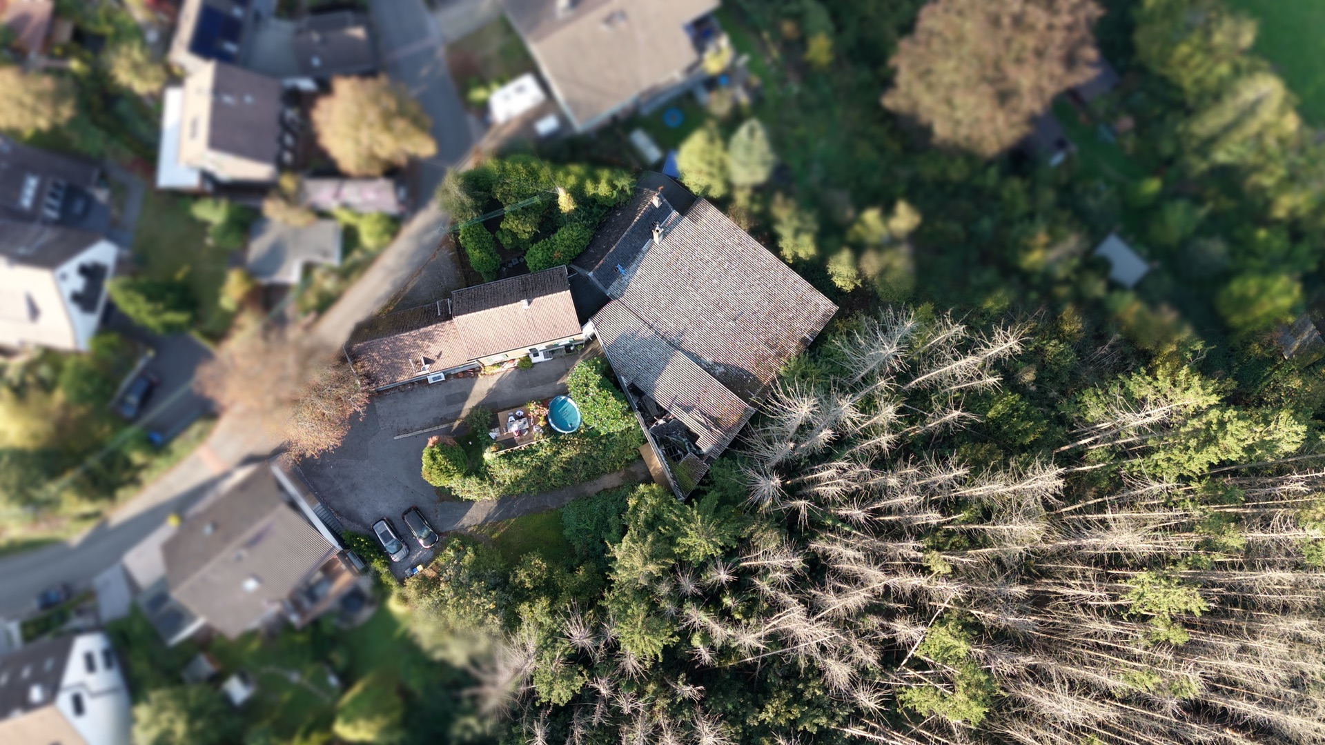 Luftbild eines Wohnhauses mit Garten und kleinem Pool neben einem Waldstück.