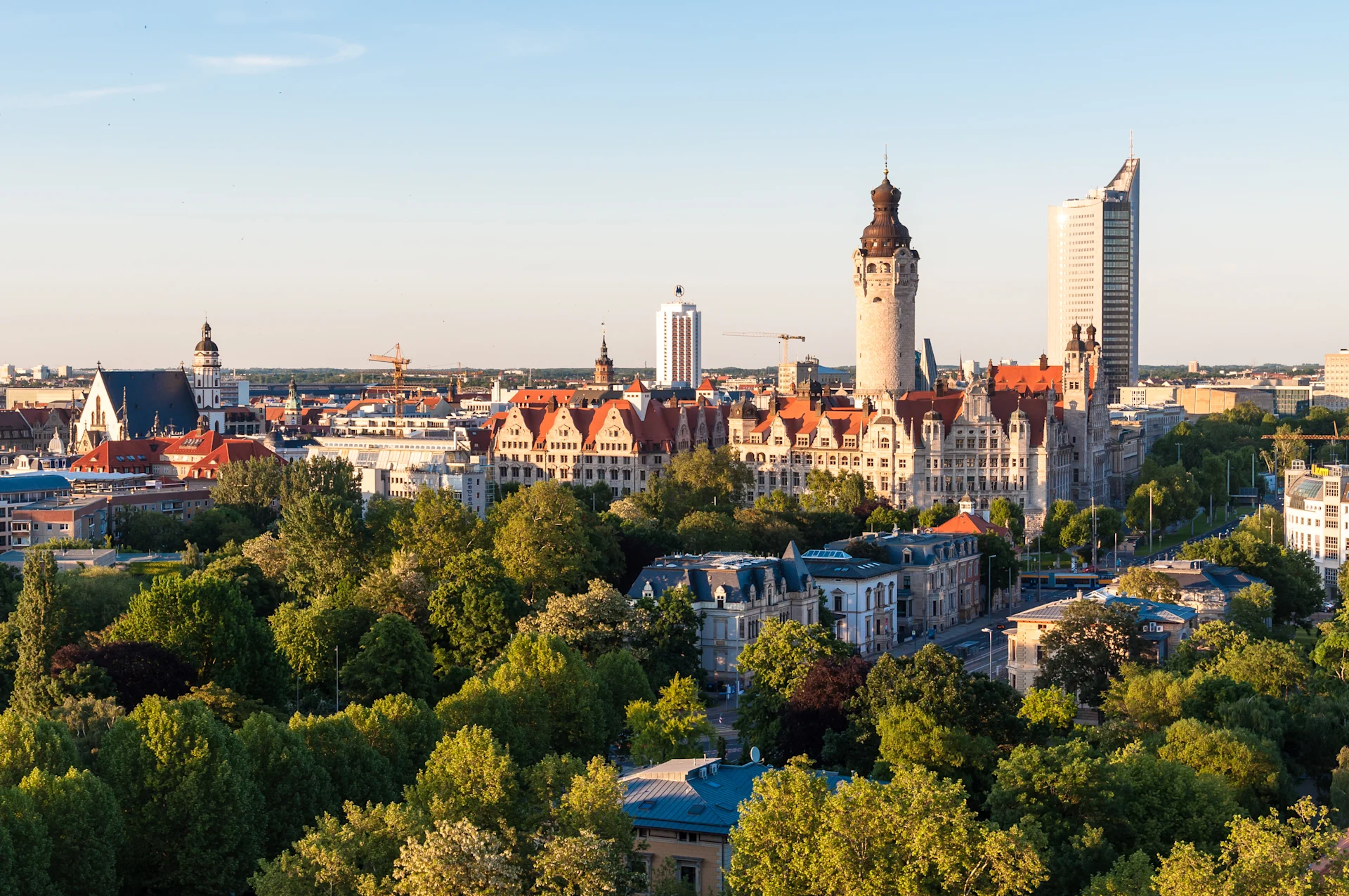 Stadtpanorama mit historischen und modernen Gebäuden, viele Bäume im Vordergrund.