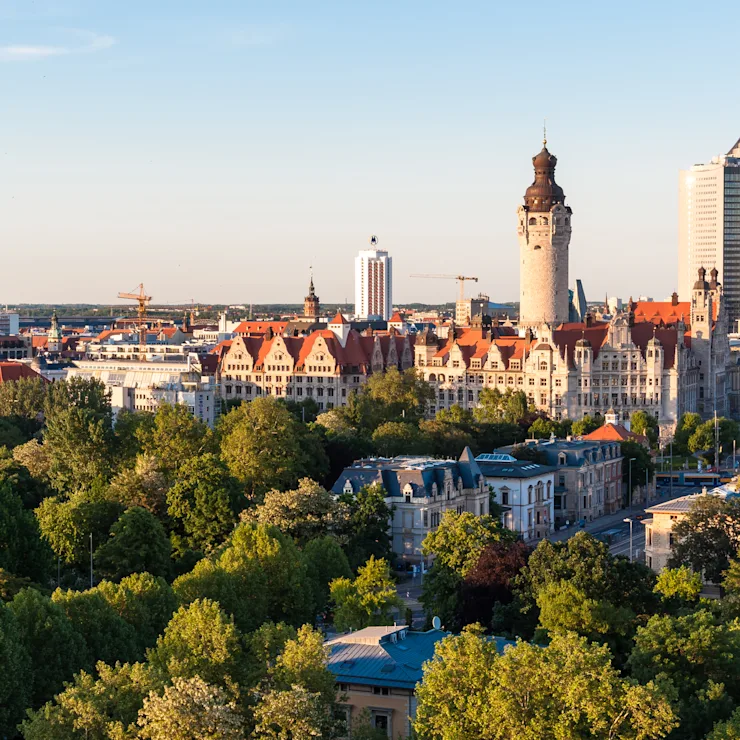 Stadtpanorama mit historischen und modernen Gebäuden, viele Bäume im Vordergrund.