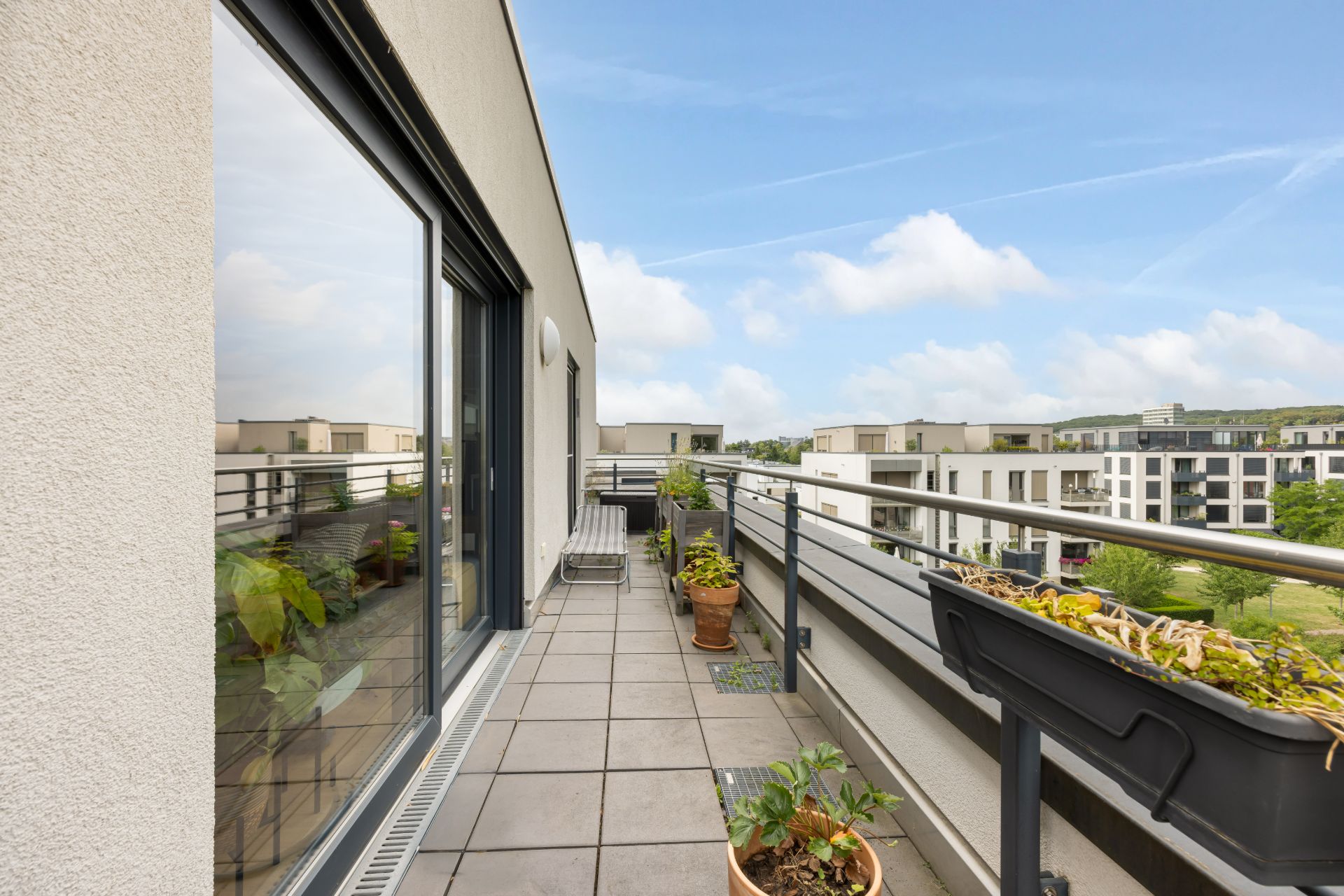 Lange Balkonterrasse mit Pflanzen in Töpfen und Blumenkästen, Blick auf moderne Wohnhäuser.
