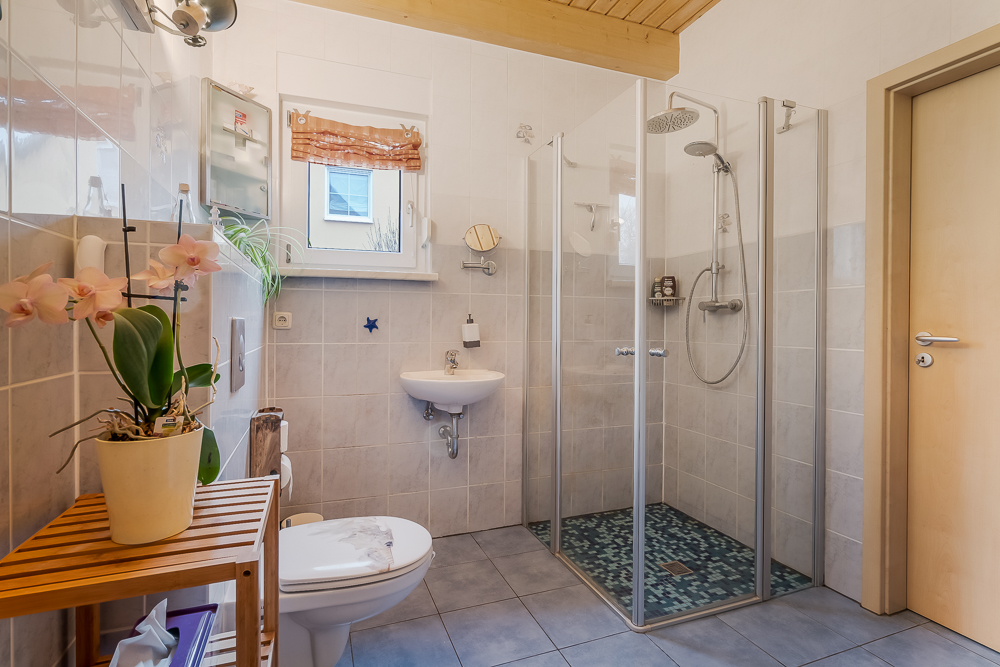 Modernes Badezimmer mit Dusche, WC, Waschbecken und Fenster, Orchidee auf Holzregal.