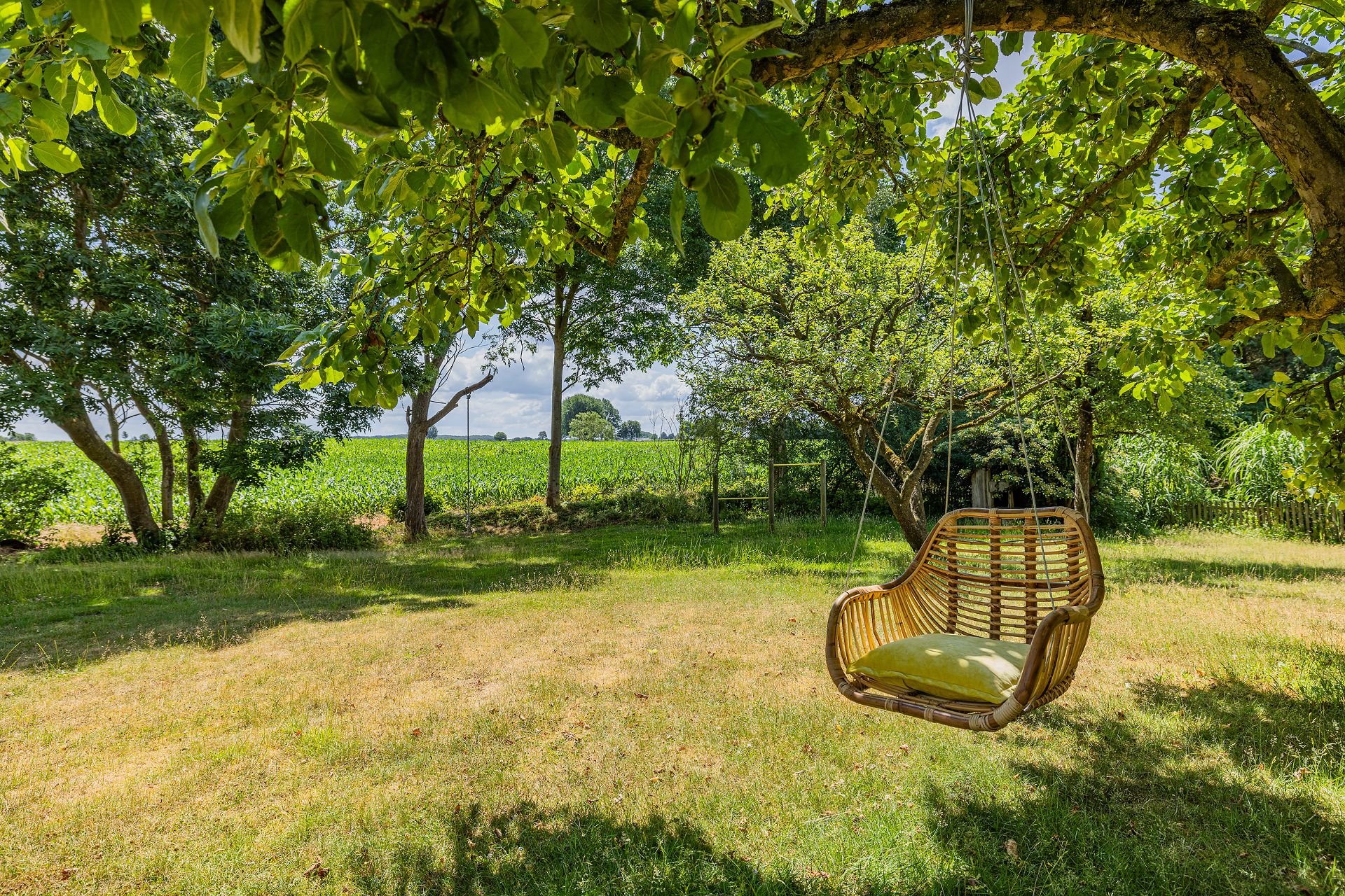 Großer Garten mit grünem Rasen, Bäumen und einer Hängeschaukel aus Korbgeflecht.