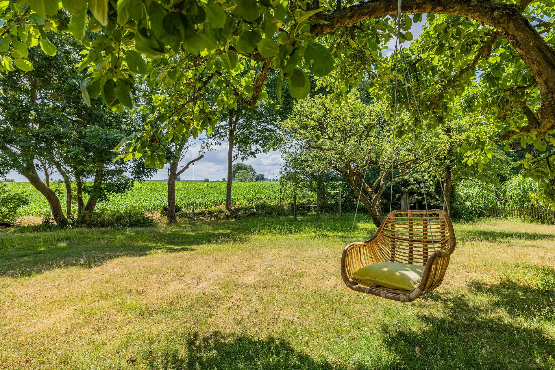 Großer Garten mit grünem Rasen, Bäumen und einer Hängeschaukel aus Korbgeflecht.