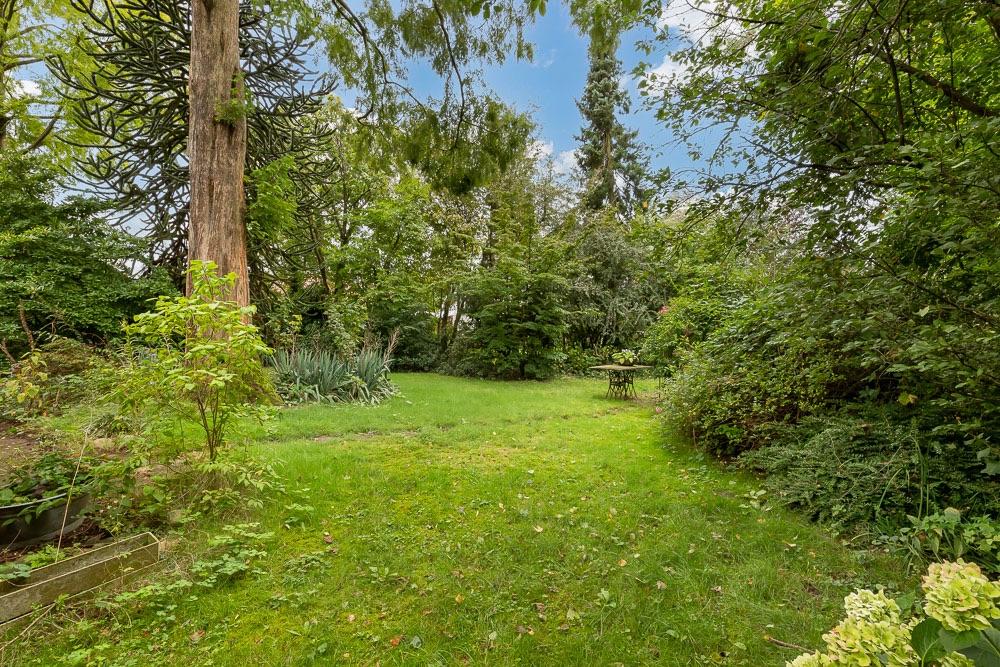 Grüner Garten mit Rasenfläche, Bäumen, Sträuchern und einem kleinen Tisch mit Stühlen im Hintergrund.