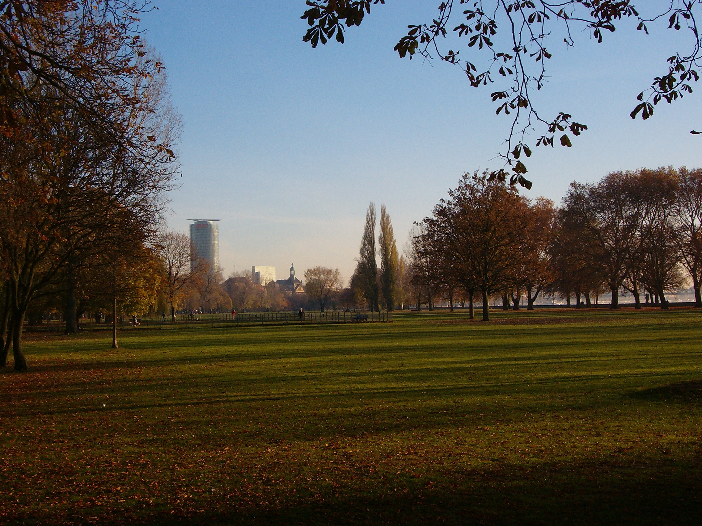 Großer grüner Park mit Bäumen, vereinzelten Menschen und einem Hochhaus im Hintergrund.