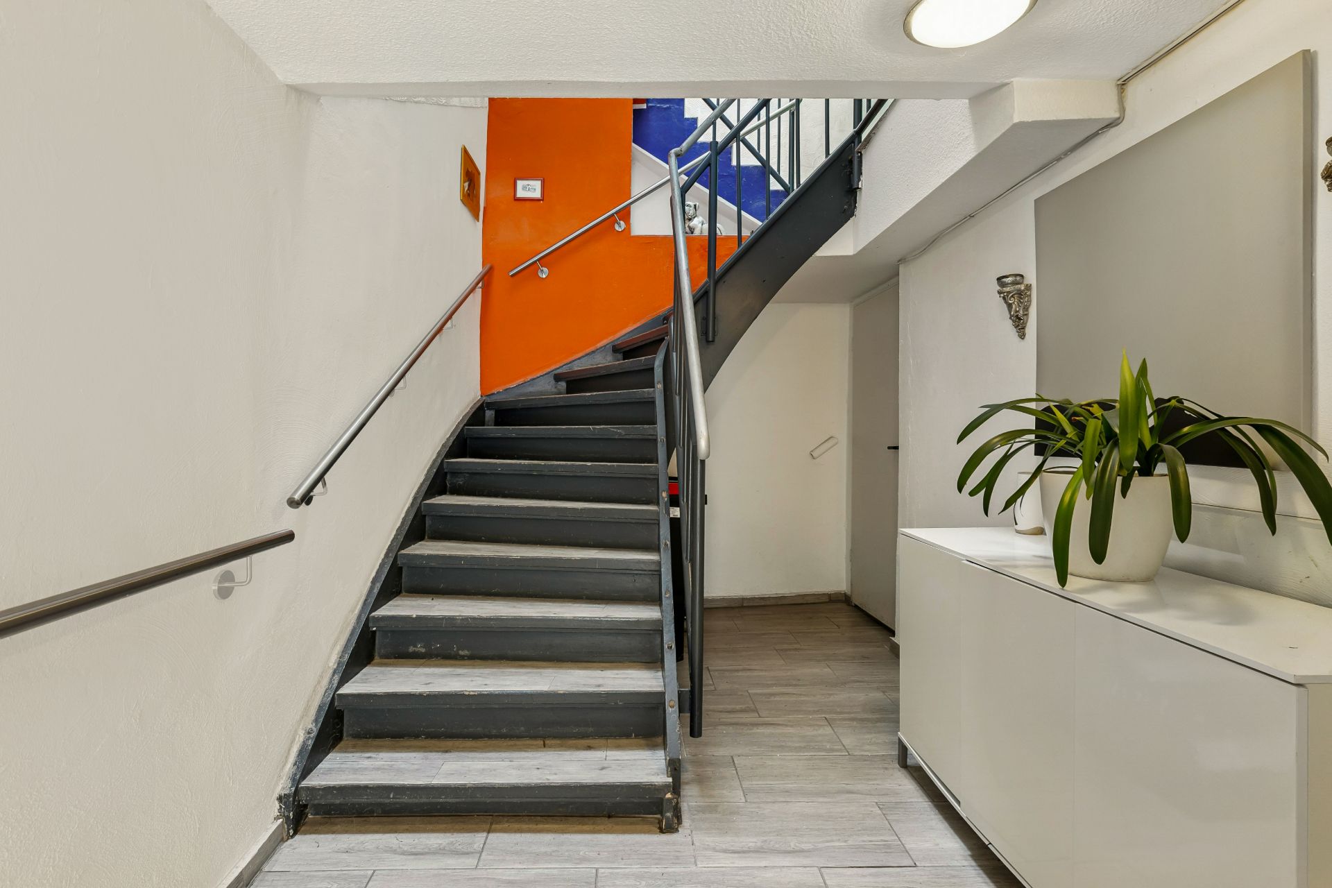 Treppenhaus mit grauer Treppe, orangefarbener Wand und Pflanze auf weißem Schrank.