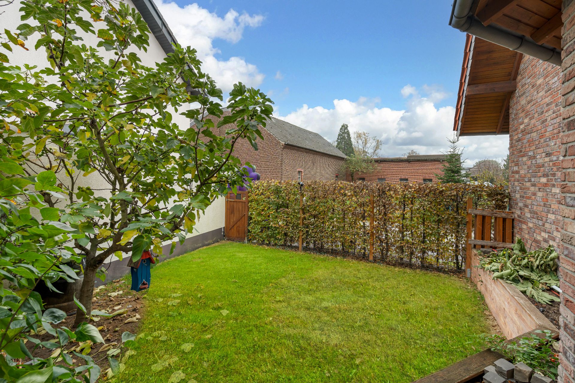 Kleiner Garten mit Rasen, Baum, Holztür und Zaun zwischen zwei Wohngebäuden.