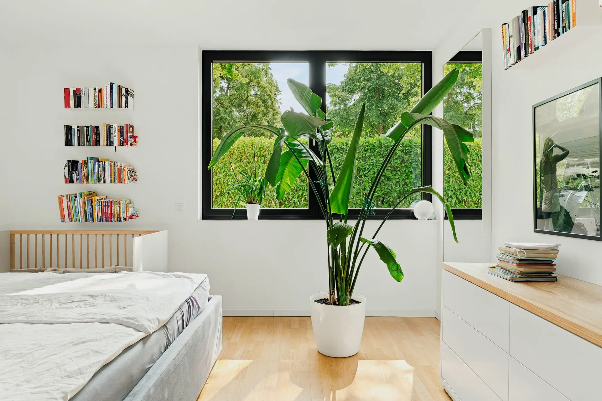 Helles Schlafzimmer mit großem Fenster, Bett, Kommode, Bücherregalen und einer großen Zimmerpflanze.