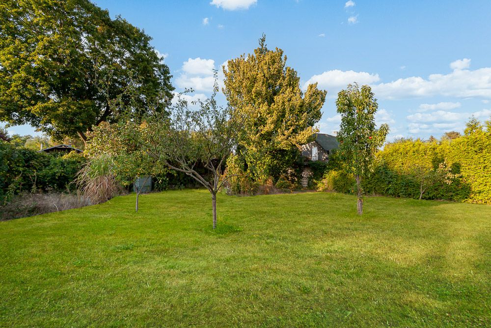 Grüner Garten mit mehreren kleinen Bäumen und großer Rasenfläche.