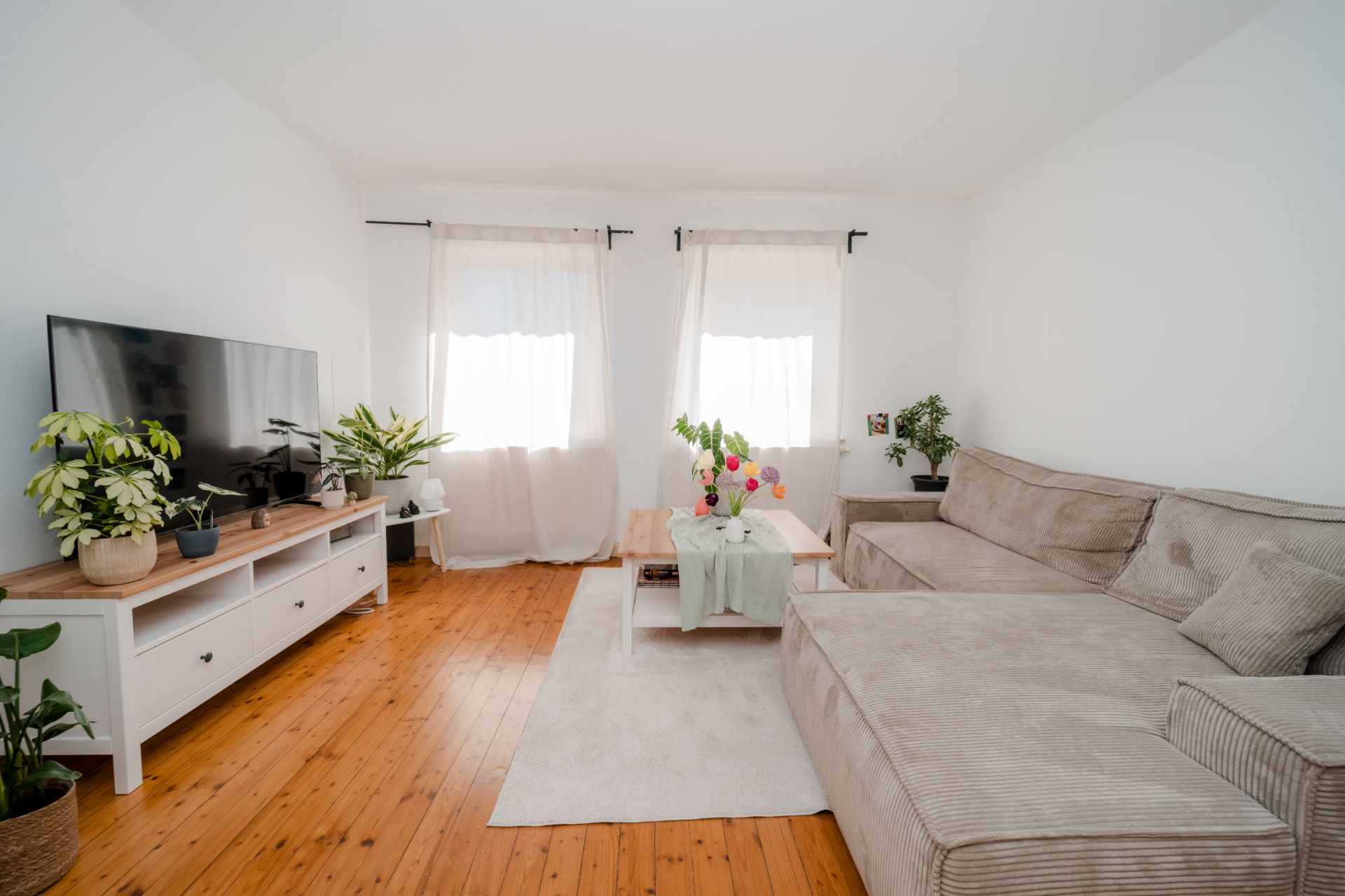 Helles Wohnzimmer mit Ecksofa, Couchtisch, Fernseher, Pflanzen und Holzboden.
