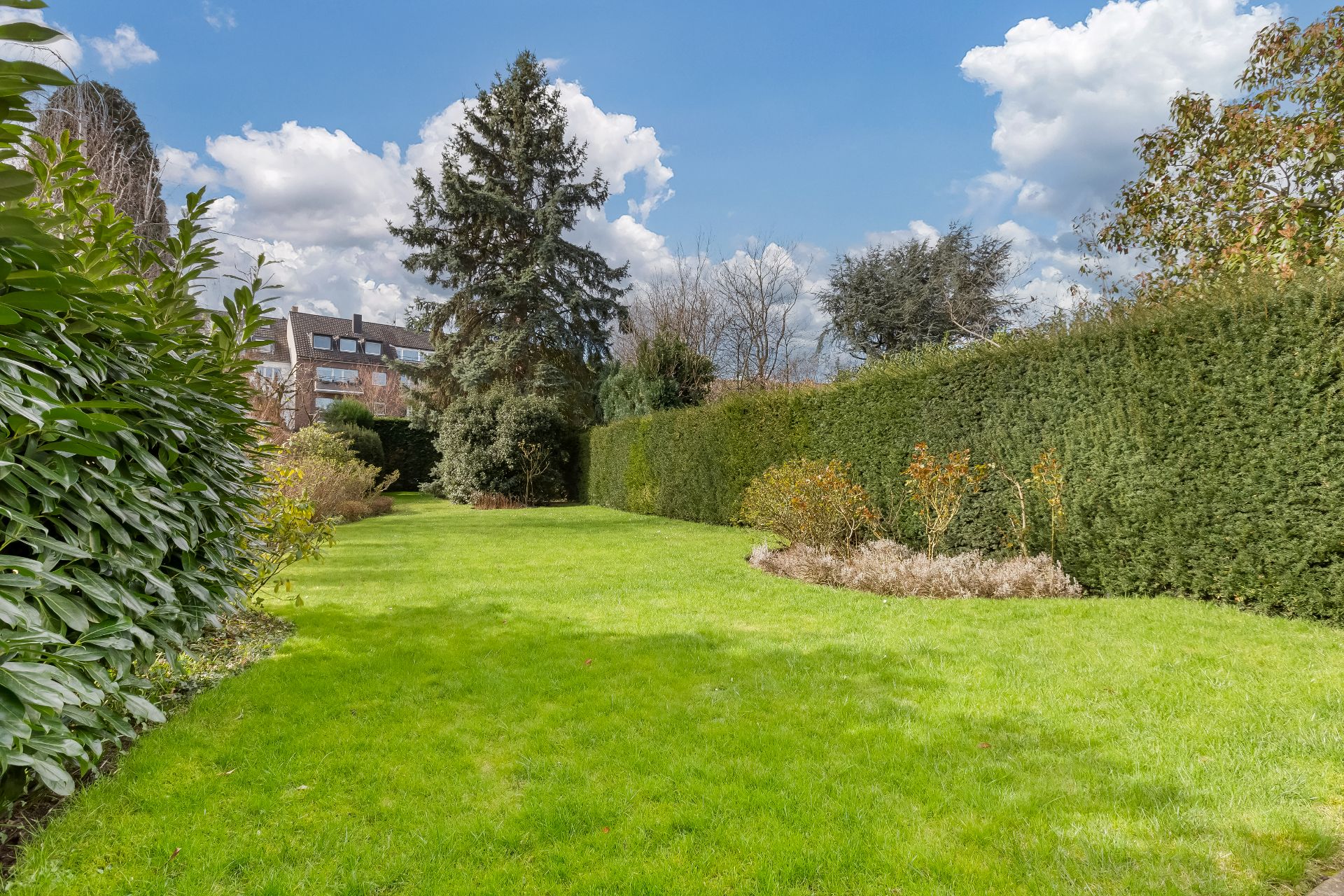 Großer grüner Garten mit Rasen, Büschen und hohen Hecken unter blauem Himmel.