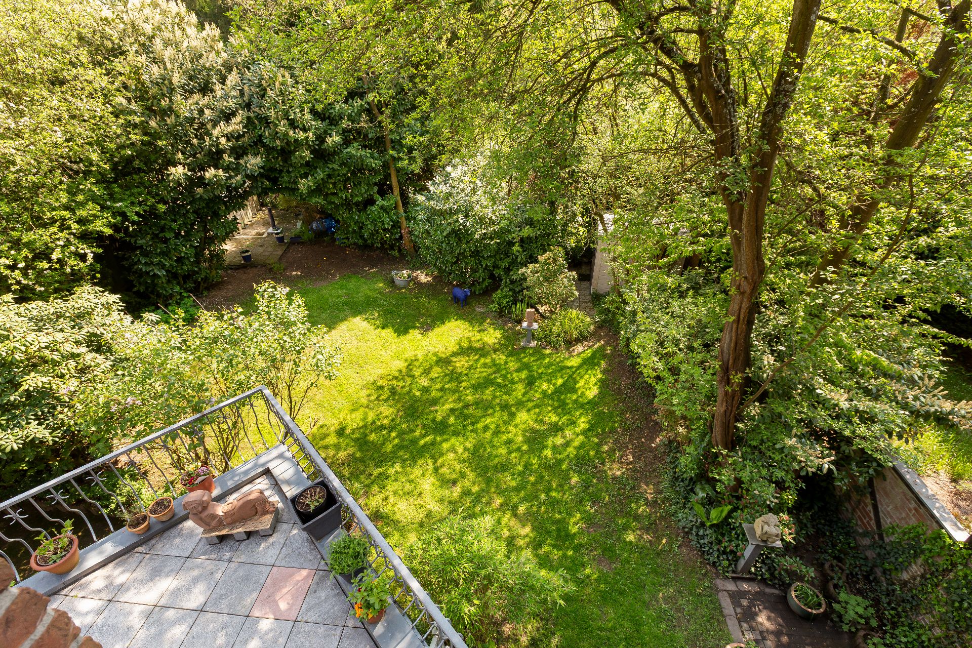 Blick in Garten
