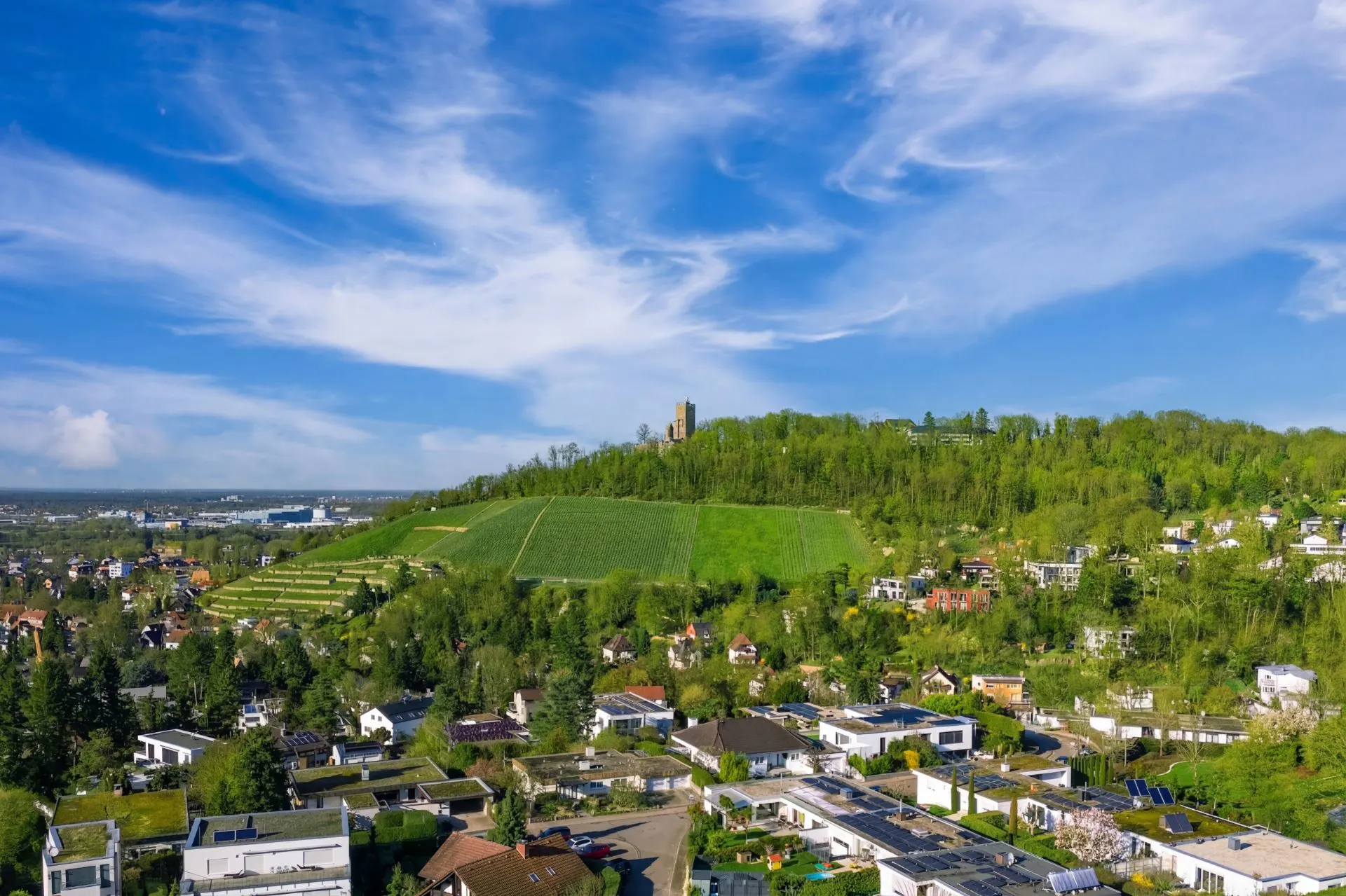 Luftaufnahme von Wohnhäusern am Fuß eines grünen, bewaldeten Hügels mit Turm oben.