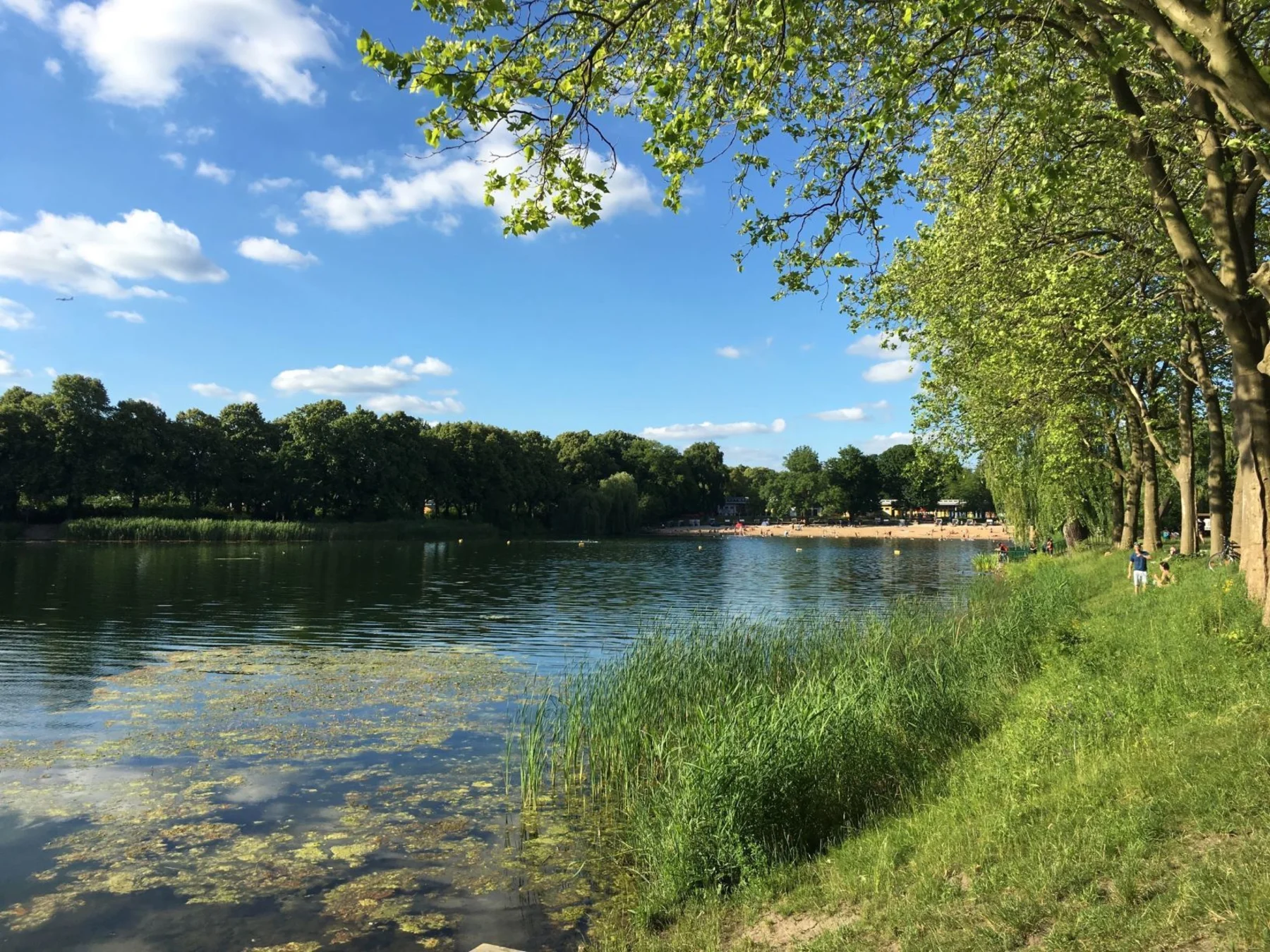 See mit Ufer, Bäumen und Menschen am grasbewachsenen Rand unter blauem Himmel.
