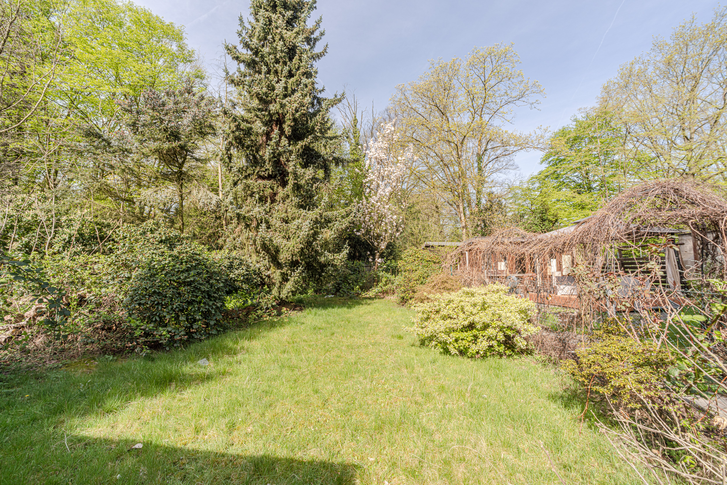 Garten mit viel Grünfläche, Büschen, Bäumen und einer Terrasse mit Pergola auf der rechten Seite.