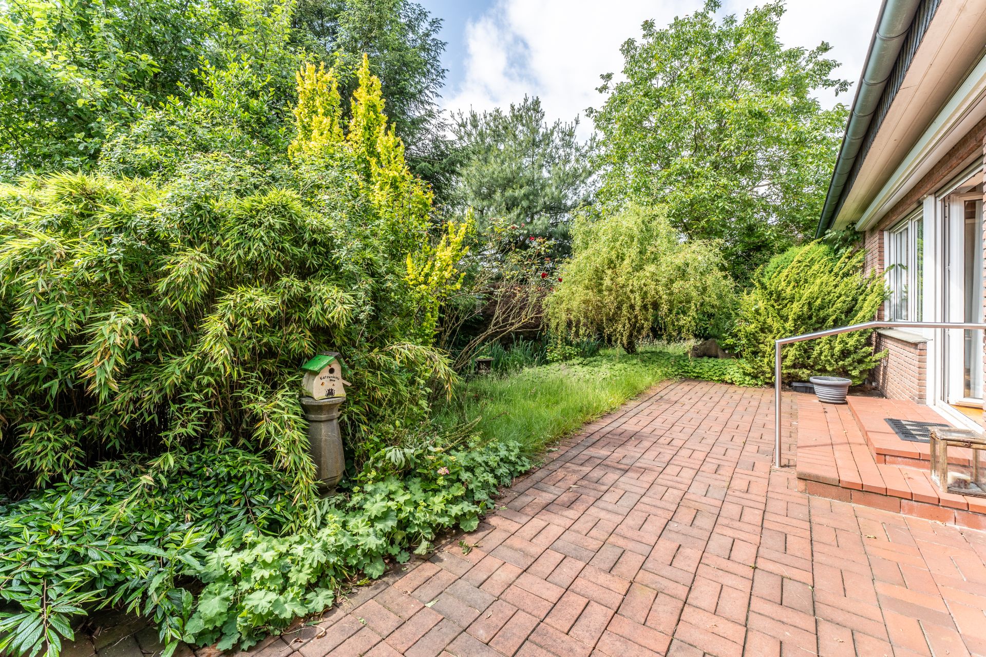 Gepflasterte Terrasse mit Topfpflanze, viel Grün und Vogelhaus im Garten.