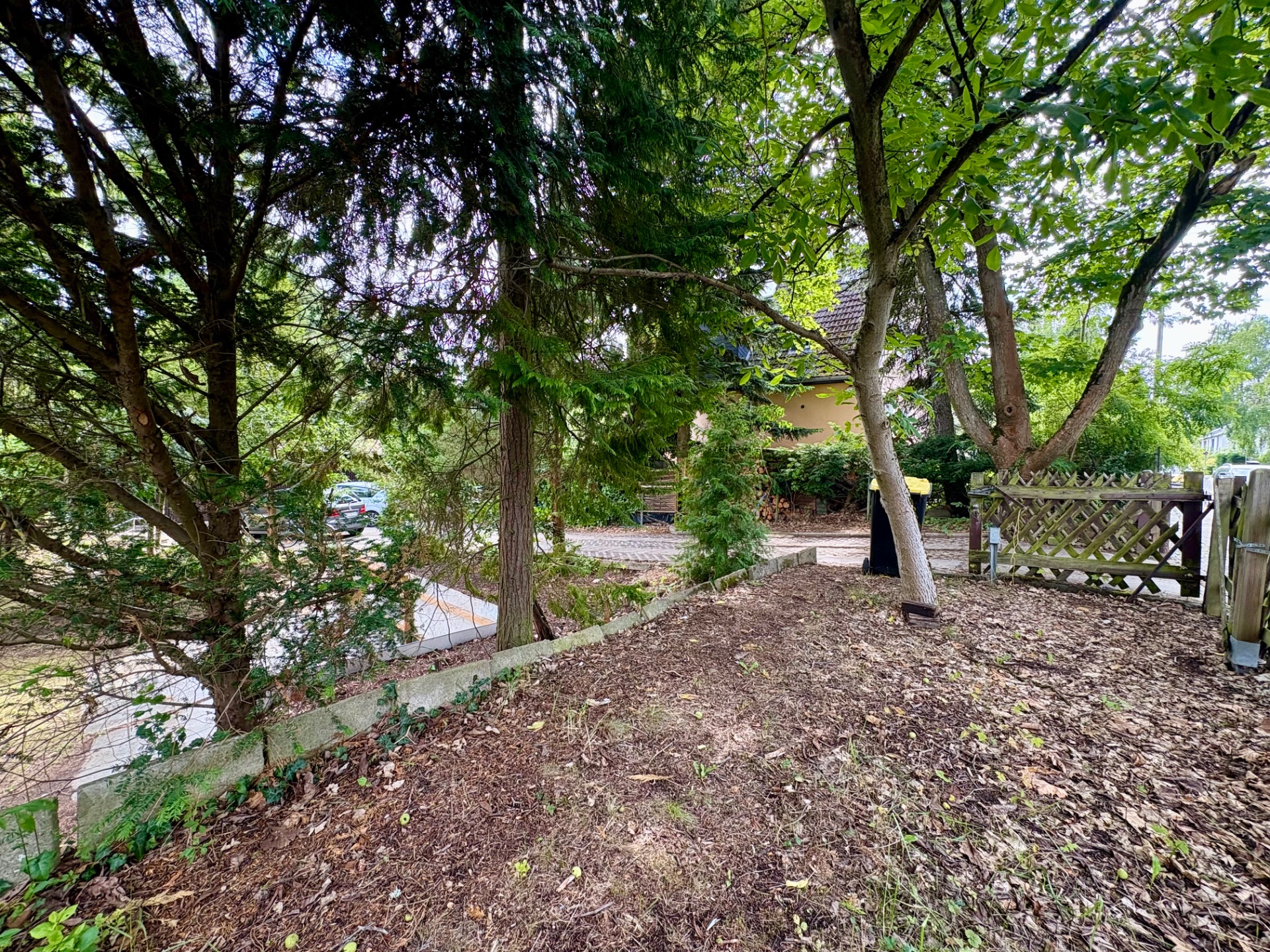 Bewaldeter Gartenbereich mit Bäumen, Zaun und Blick auf eine gepflasterte Einfahrt.