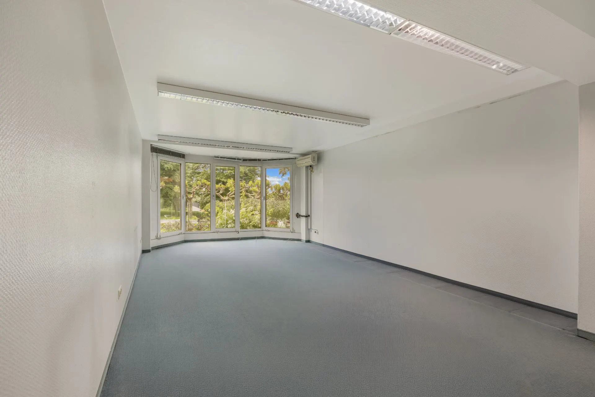 Leerer Raum mit grauem Teppich, weißen Wänden und großen Fenstern mit Blick ins Grüne.