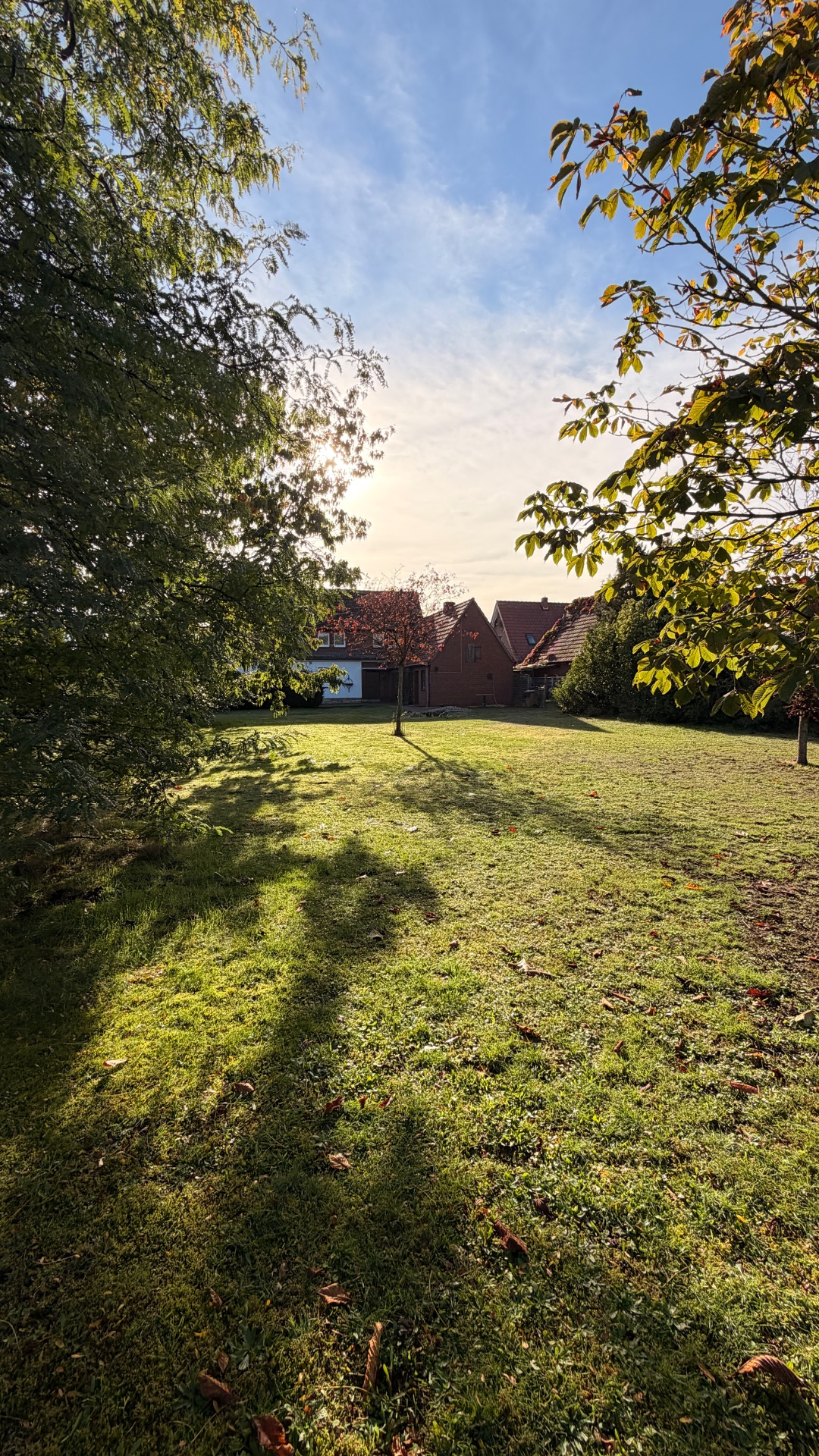 Großer grüner Garten mit Bäumen und einem Wohnhaus im Hintergrund bei Sonnenschein.