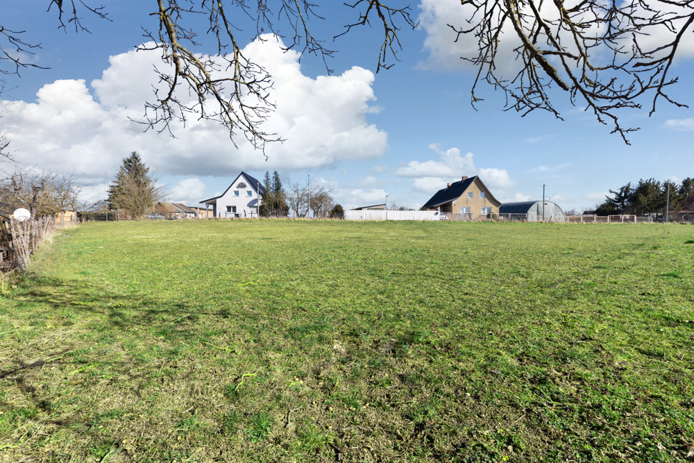 Große grüne Wiese mit zwei Wohnhäusern im Hintergrund und einigen Bäumen am Rand.