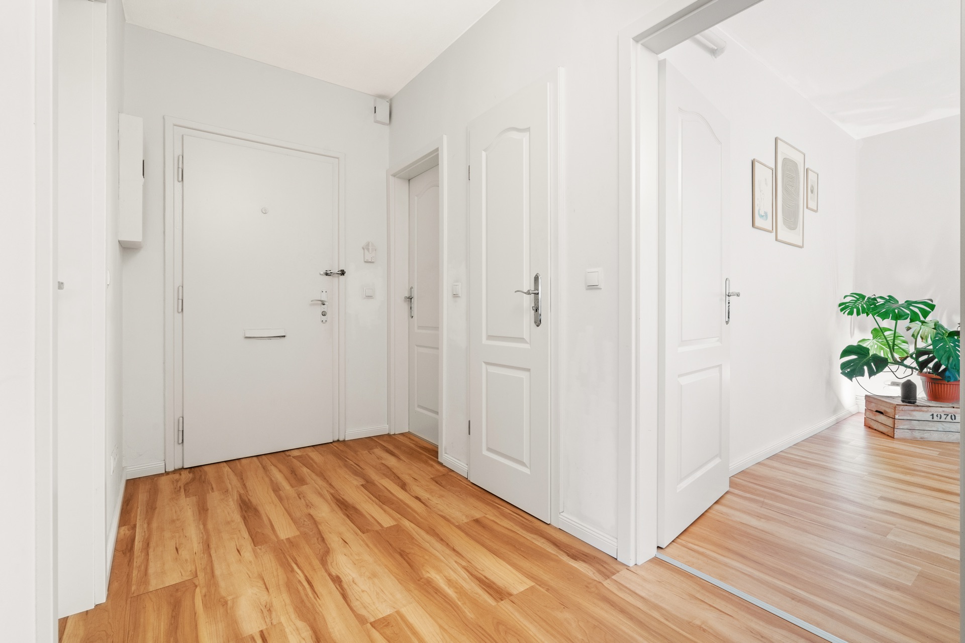 Heller Flur mit Holzboden, weißen Türen und Blick ins Wohnzimmer mit Pflanze.