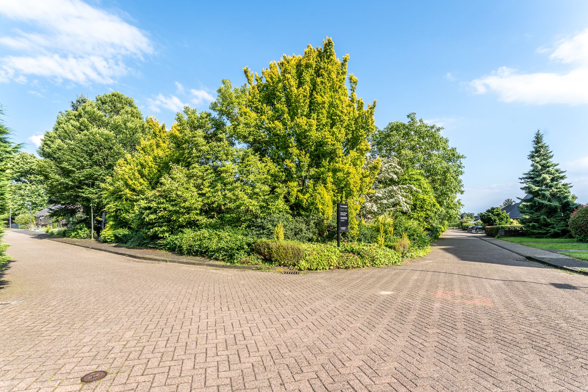 Gepflasterte Straße mit vielen grünen Bäumen und Sträuchern an einem sonnigen Tag.