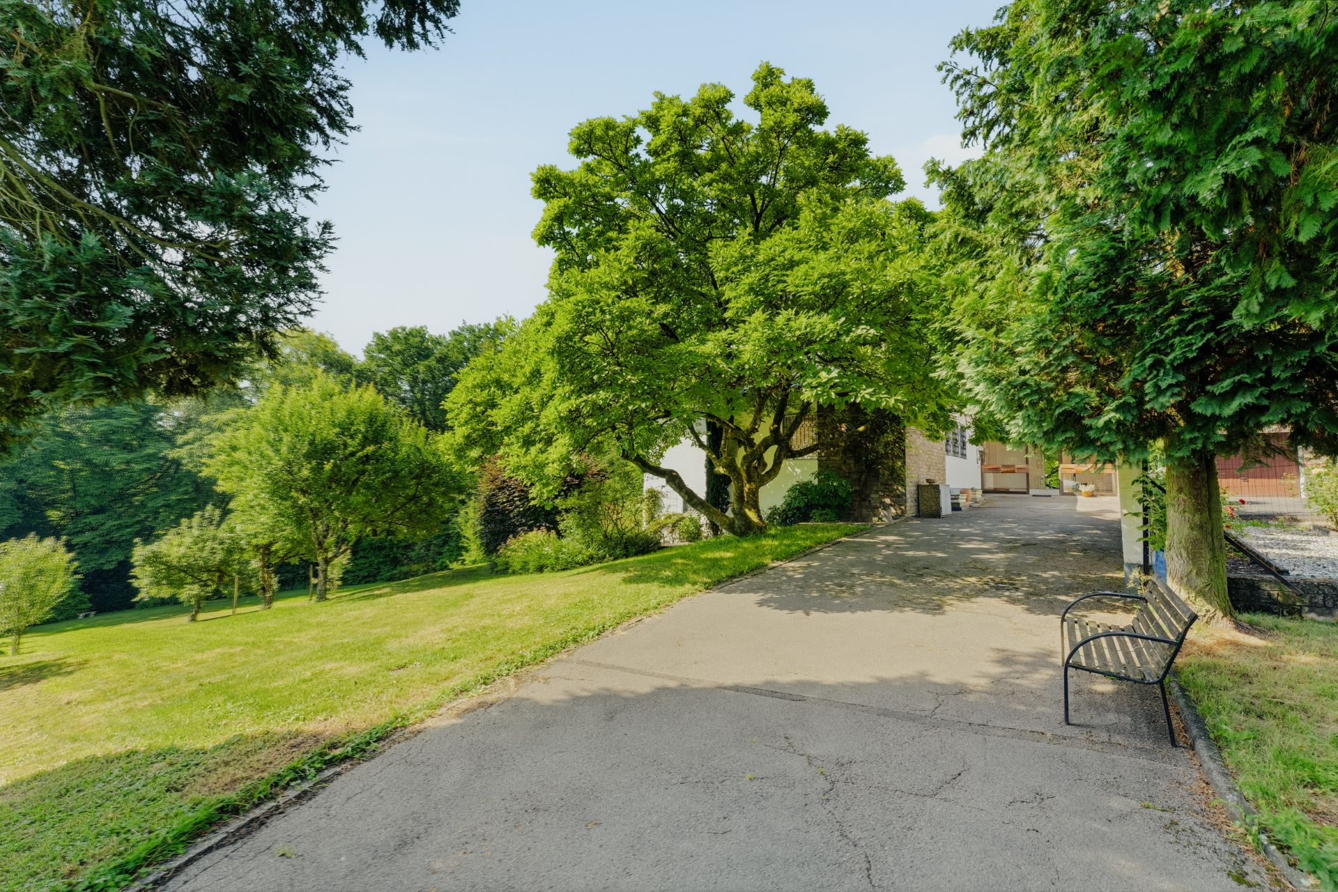 Gepflegter Garten mit Bäumen, Rasenfläche, Sitzbank und gepflastertem Weg.