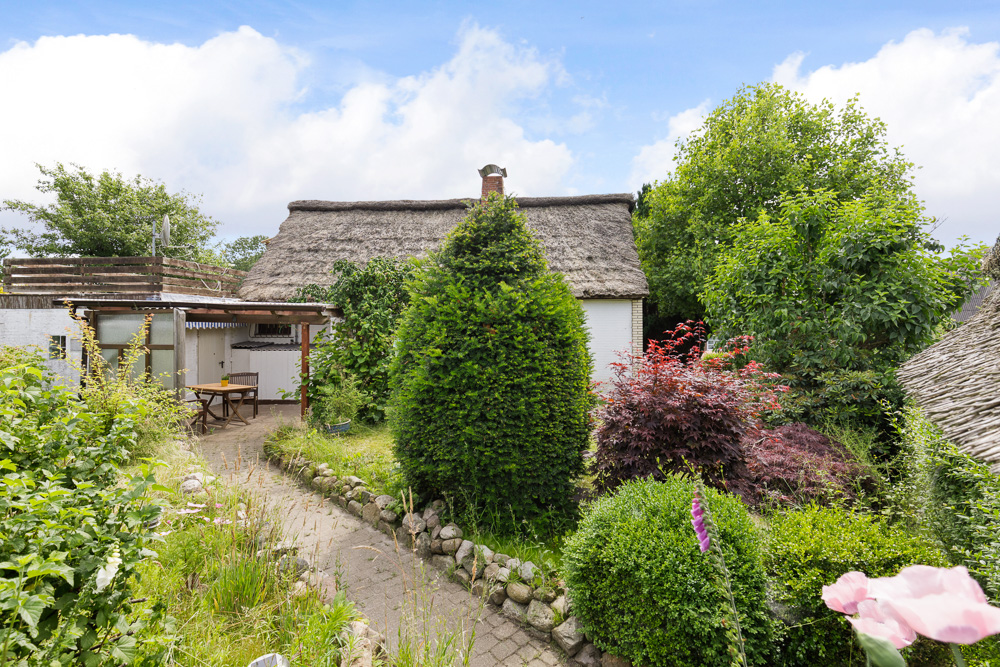 Gepflegter Garten mit Weg, Terrasse und Haus mit Reetdach, umgeben von vielen Bäumen.