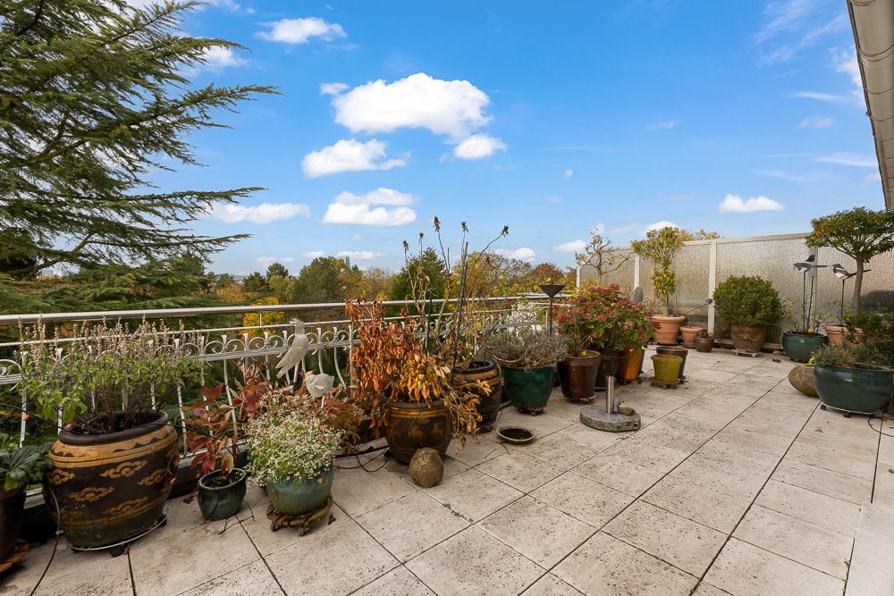Große Terrasse mit vielen Pflanzkübeln und Blick auf Bäume unter blauem Himmel.