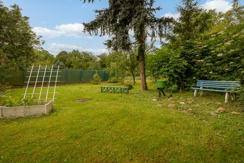 Grüner Garten mit Bank, Pflanzenbeet, Rankgitter und Bäumen im Hintergrund.