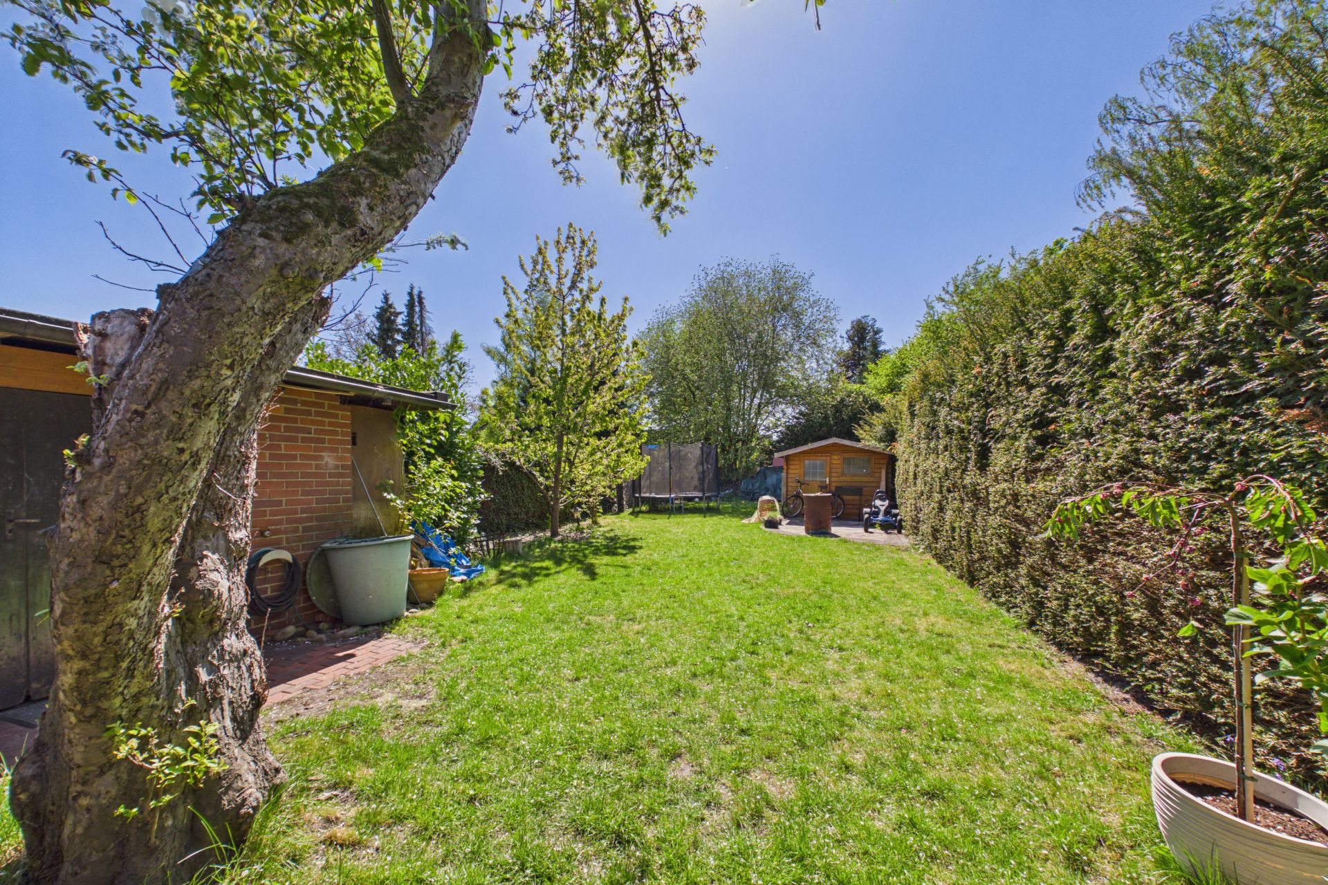 Grüner Garten mit Rasenfläche, Bäumen, Gartenhaus und hoher Hecke an sonnigem Tag.